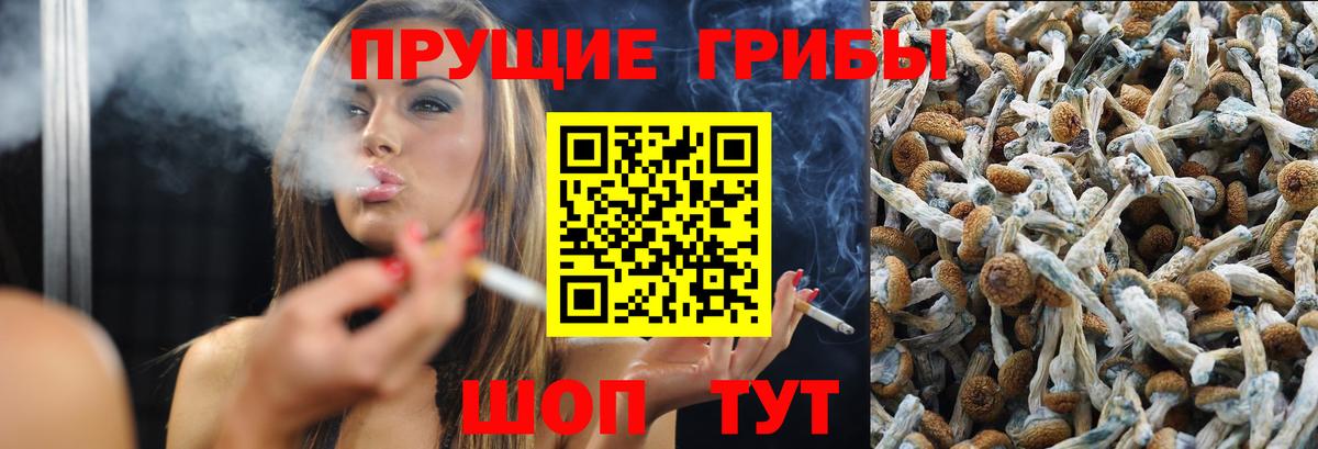 Галлюциногенные грибы Magic Shrooms Новокубанск